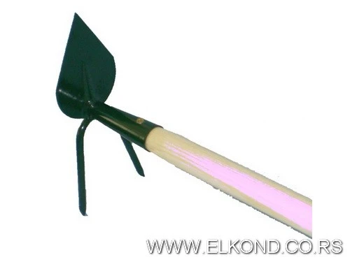 MOTIČICA ŠPICASTA SA ROGOM